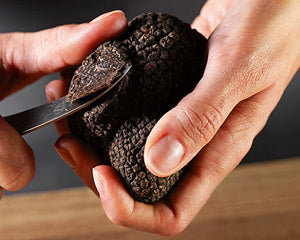 Truffes noires extra "Indicum" avec leur jus, par Plantin - 100g